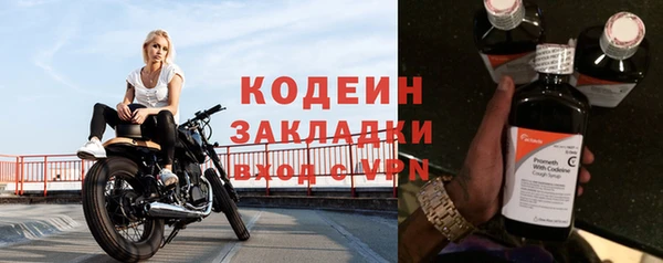прущие грибы Верхнеуральск
