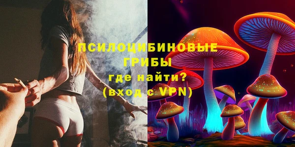 спиды Нея