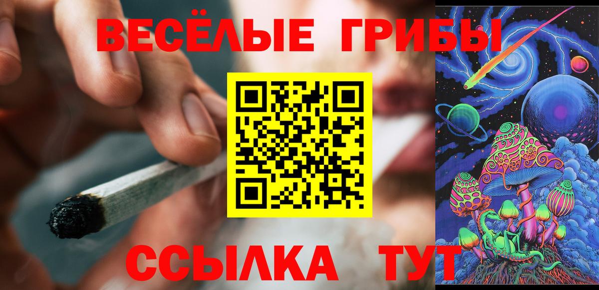 хочу наркоту  Россошь  Псилоцибиновые грибы GOLDEN TEACHER 