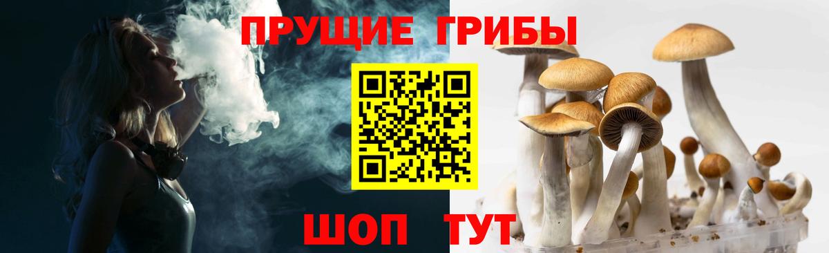 Россошь  Галлюциногенные грибы Cubensis  Вход с VPN  Псилоцибиновые грибы прущие грибы 
